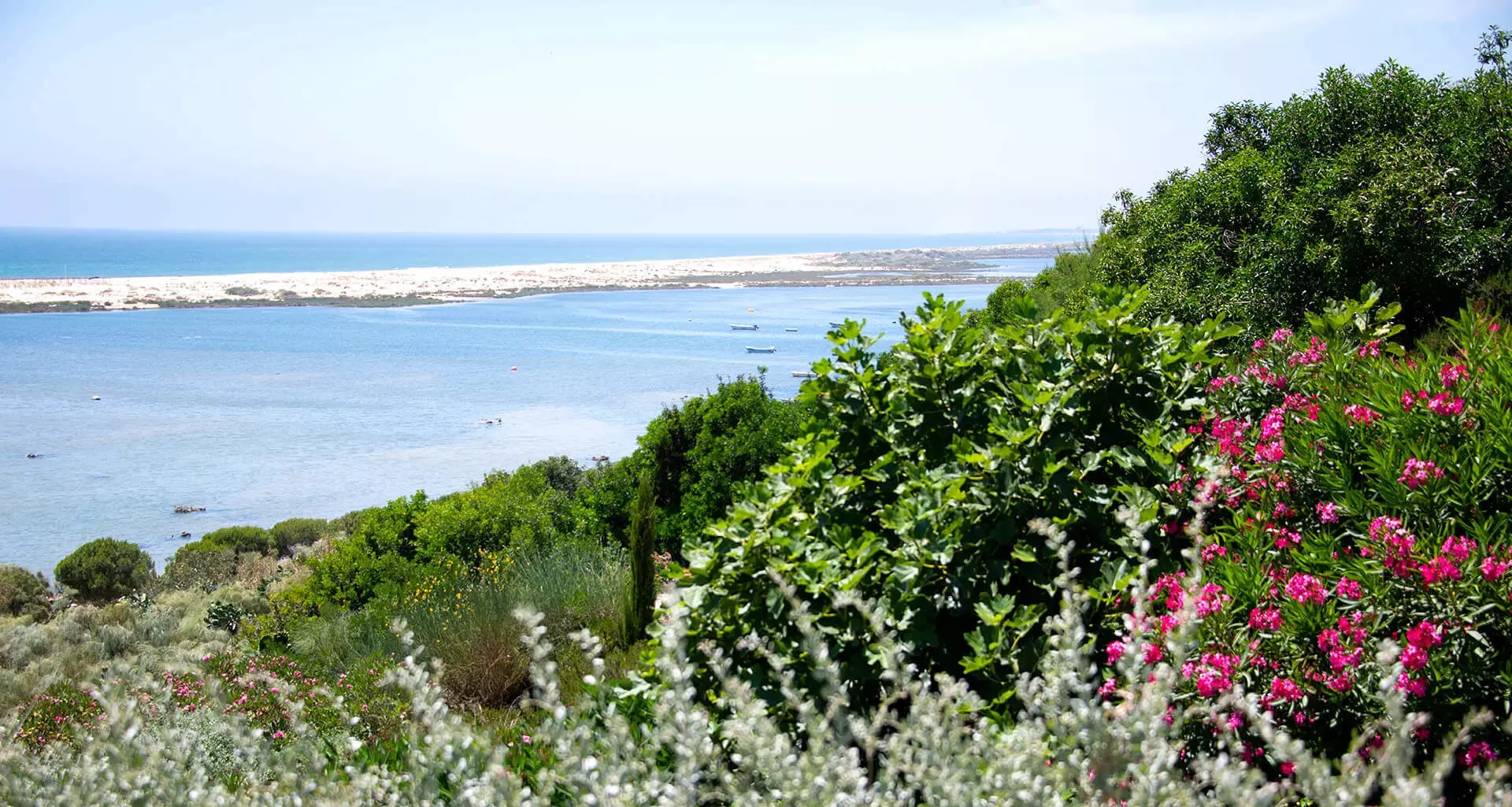 Praias de areal extenso em Cacela Velha