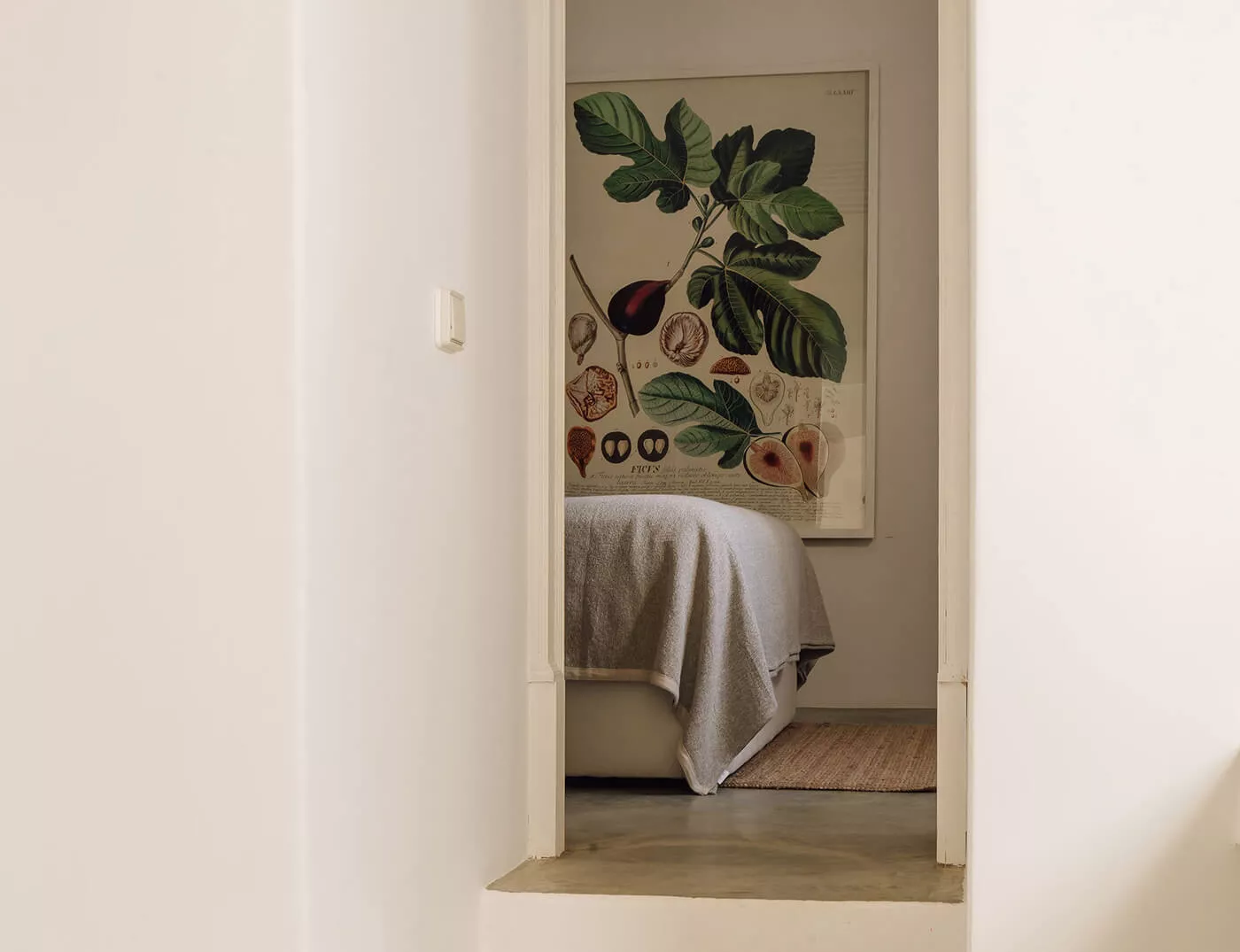 Galeria Suite Forno
